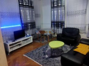 Appartement de Charme au Cœur de Bourg-en-Bresse !